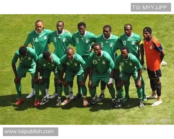 2014巴西世界杯精彩对决尼日利亚与波黑的激烈较量与精彩瞬间回顾